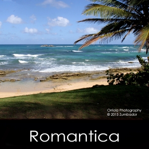 Romantica-300x300-1